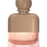 عطر ادکلن وانیلا اِرا بوی اسملز - Vanilla Era (2025) Boy Smells - بررسی، قیمت و خرید