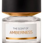 عطر ادکلن امبرنس بی‌ام‌و فریگرنسز - Amberness BMW Fragrances - بررسی، قیمت و خرید