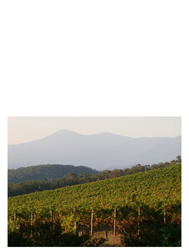 عطر ادکلن کالگورلی باد پرفیومز - Kalgoorlie Bud Parfums - بررسی، قیمت و خرید