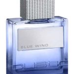 عطر ادکلن بلو ویند کاستو بارسلونا - Blue Wind Custo Barcelona - بررسی، قیمت و خرید