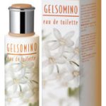 عطر ادکلن جِلسومینو بوتگا ورده - Gelsomino Bottega Verde - بررسی، قیمت و خرید