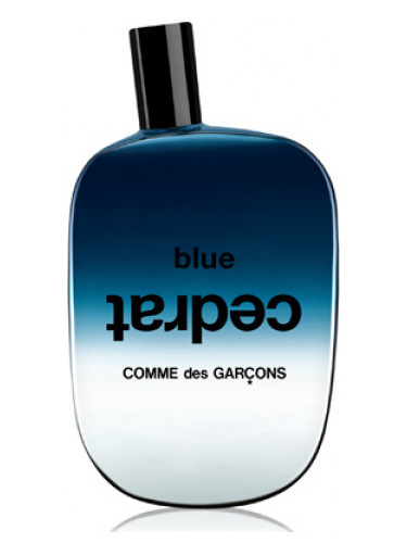 عطر ادکلن بلو سدرات کوم د گارسون - Blue Cedrat Comme des Garcons - بررسی، قیمت و خرید