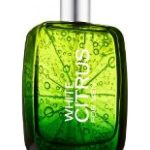 عطر ادکلن وایت سیترس فور من بث اند بادی ورکس - White Citrus for Men Bath & Body Works - بررسی، قیمت و خرید