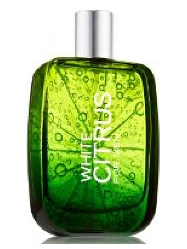 عطر ادکلن وایت سیترس فور من بث اند بادی ورکس - White Citrus for Men Bath & Body Works - بررسی، قیمت و خرید