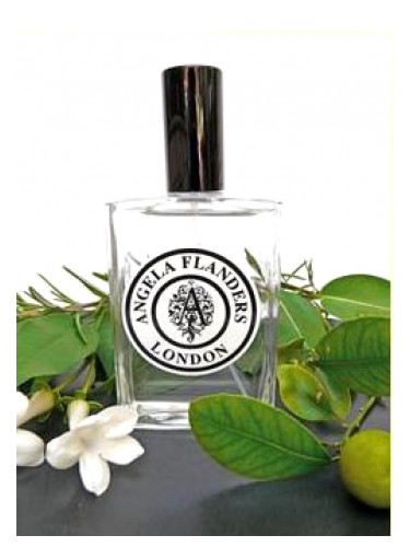 عطر ادکلن نو وان لو پریمیر آنجلا فلندرز - No.1 Le Premier Angela Flanders - بررسی، قیمت و خرید