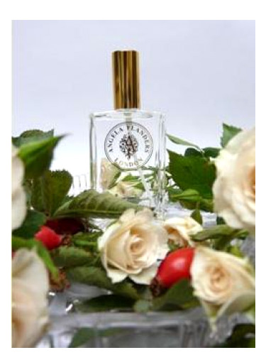 عطر ادکلن رز ساواژ آنجلا فلاندرز - Rose Sauvage Angela Flanders - بررسی، قیمت و خرید