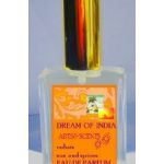 عطر ادکلن دریم آو ایندیا آرتز اَند سِنتز - Dream of India Arts&Scents - بررسی، قیمت و خرید
