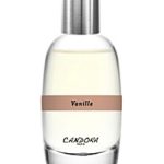 عطر ادکلن وانیل کندورا - Vanille Candora - بررسی، قیمت و خرید