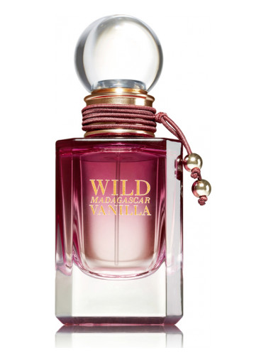 عطر ادکلن وایلد ماداگاسکار وانیلا باث اند بادی ورکز - Wild Madagascar Vanilla Bath & Body Works - بررسی، قیمت و خرید