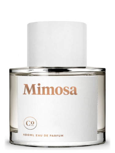 عطر ادکلن میموسا کالبدی - Mimosa Commodity - بررسی، قیمت و خرید