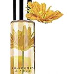 عطر ادکلن جویفول یلو ایوون - Joyful Yellow Avon - بررسی، قیمت و خرید