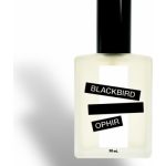 عطر ادکلن اوفیر بِلَک‌بِرد - Ophir Blackbird - بررسی، قیمت و خرید
