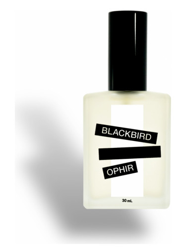 عطر ادکلن اوفیر بِلَک‌بِرد - Ophir Blackbird - بررسی، قیمت و خرید