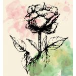 عطر ادکلن نو تو آلن شو - No. 2 Allen Shaw - بررسی، قیمت و خرید