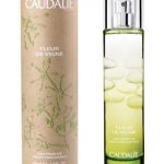 عطر ادکلن فلور دو وین کدلی - Fleur de Vigne Caudalie - بررسی، قیمت و خرید