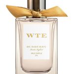 عطر ادکلن وایلد تیسل بربری - Wild Thistle Burberry - بررسی، قیمت و خرید