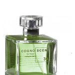 عطر ادکلن نو سی هی اینسنس کاگنوستی - No 30 Hay Incense Cognoscenti - بررسی، قیمت و خرید