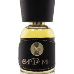 عطر ادکلن کیوپید ام آی آی کیوپید پرفیومز - Cupid MII Cupid Perfumes - بررسی، قیمت و خرید