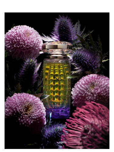 عطر ادکلن سو لاو المسبح - So Love Al Musbah - بررسی، قیمت و خرید