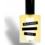 عطر ادکلن وای شش اس بلک‌برد - Y06-S Blackbird - بررسی، قیمت و خرید