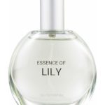 عطر ادکلن اِسِنس آو لِیلی سی اند ای - Essence of Lily C&A - بررسی، قیمت و خرید