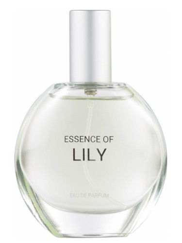 عطر ادکلن اِسِنس آو لِیلی سی اند ای - Essence of Lily C&A - بررسی، قیمت و خرید