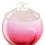عطر ادکلن نوا لو کاشارل - Noa L'Eau (2018) Cacharel - بررسی، قیمت و خرید