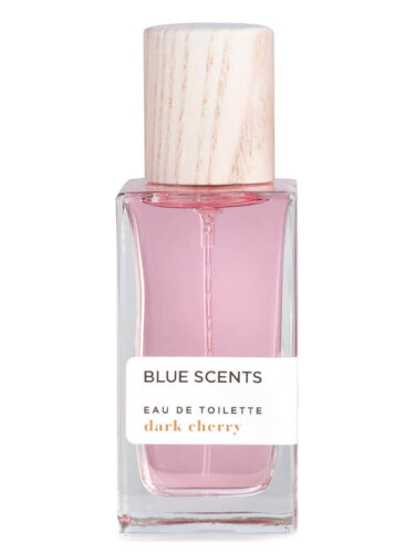 عطر ادکلن دارک چری بلو سنتس - Dark Cherry Blue Scents - بررسی، قیمت و خرید