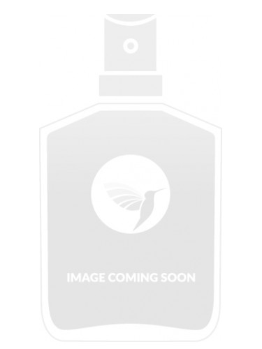 عطر ادکلن لاکچری نامبر سون آکوا دی باویرا - Luxury No 7 Acqua di Baviera - بررسی، قیمت و خرید