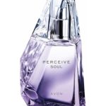عطر ادکلن پرسو سُل اون - Perceive Soul Avon - بررسی، قیمت و خرید