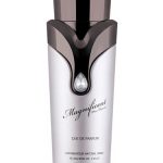 عطر ادکلن مگنیفیسنت پور هوم آرماف - Magnificent Pour Homme Armaf - بررسی، قیمت و خرید