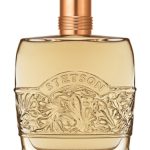 عطر ادکلن استتسون ریچ سوئد کوتی - Stetson Rich Suede Coty - بررسی، قیمت و خرید
