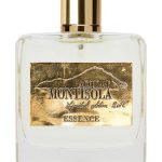 عطر ادکلن اسنس یونی سکس آکوا دی مونتیسولا - Essence Unisex Acqua di Montisola - بررسی، قیمت و خرید