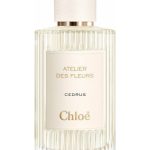 عطر ادکلن سدر کلوئه - Cedrus Chloé - بررسی، قیمت و خرید