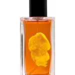 عطر ادکلن بون کامینو کرونوتوپ - Buen Camino Chronotope - بررسی، قیمت و خرید