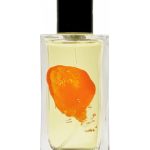 عطر ادکلن پلیالیندا کرونوتوپ - Playalinda Chronotope - بررسی، قیمت و خرید
