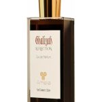 عطر ادکلن غالیه رفلکشن آملیا پرفیومز - Ghaliyah Reflection Amelia Perfumes - بررسی، قیمت و خرید