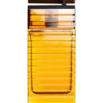 عطر ادکلن ونتیان امبر ادیشن آرماف - Venetian Amber Edition Armaf - بررسی، قیمت و خرید