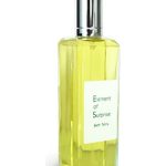 عطر ادکلن اِلِمِنت آو سارپِرایز کریتیو یونیورس بت تری - Element of Surprise Creative Universe Beth Terry - بررسی، قیمت و خرید
