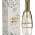 عطر ادکلن جیگلیو بیانکو آمریگو - Giglio Bianco Amerigo - بررسی، قیمت و خرید