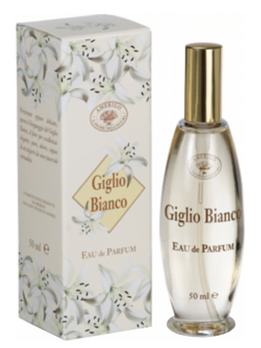 عطر ادکلن جیگلیو بیانکو آمریگو - Giglio Bianco Amerigo - بررسی، قیمت و خرید