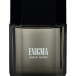 عطر ادکلن انیگما بویس نوار آرت اند پَرفیوم - Enigma Bois Noir Art & Parfum - بررسی، قیمت و خرید