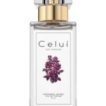 عطر ادکلن سلوئی سیگنیچر سِلویی - Celuí Signature Celuí - بررسی، قیمت و خرید