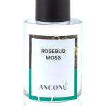عطر ادکلن رُزباد ماس انکونو - Rosebud Moss Anconu - بررسی، قیمت و خرید
