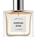 عطر ادکلن ویپینگ رز چیسینگ سنتس - Weeping Rose Chasing Scents - بررسی، قیمت و خرید