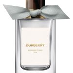 عطر ادکلن ویندزور تونیک بربری - Windsor Tonic Burberry - بررسی، قیمت و خرید