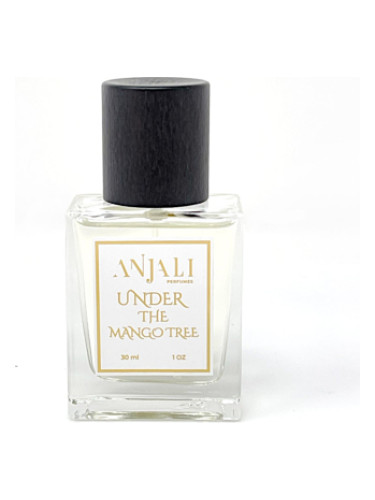 عطر ادکلن آندر د مَنگو تری آنجلِی پرفیومز - Under the Mango Tree Anjali Perfumes - بررسی، قیمت و خرید