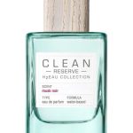 عطر ادکلن اچ تو او ماسک نویر کلین - H2Eau Musk Noir Clean - بررسی، قیمت و خرید