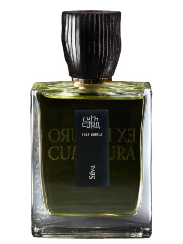 عطر ادکلن سیلوا کام کورا - Silva Cum Cura - بررسی، قیمت و خرید