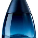 عطر ادکلن بلو راش اینتنس اِیوان - Blue Rush Intense Avon - بررسی، قیمت و خرید